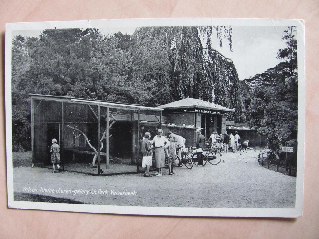 Velsen 1945 kleine dierengalerij in het park Velserbeek, Ophalen of Verzenden, 1940 tot 1960, Gelopen, Noord-Holland