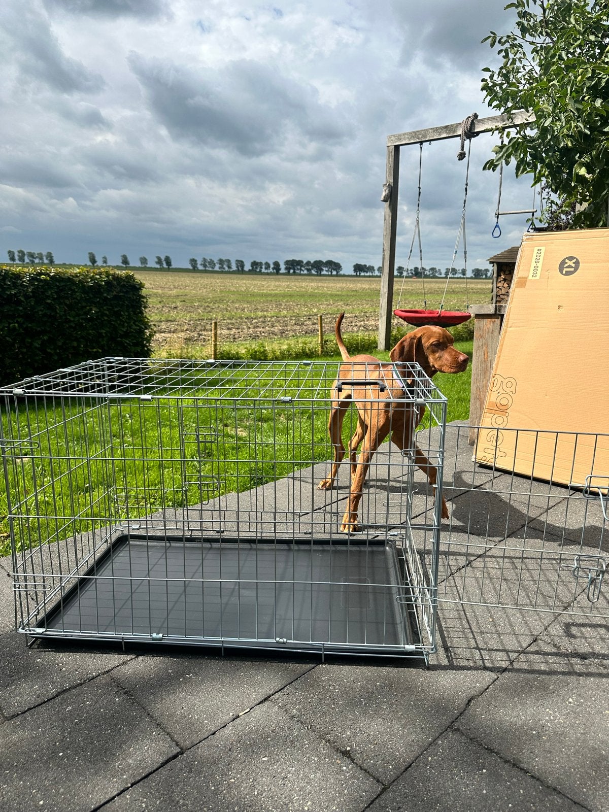 Maat L hondenbench 95  56  64 cm  – nette staat, Ophalen, Zo goed als nieuw