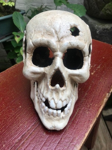 mooie grote metalen SKULL/ SCHEDEL, Ophalen of Verzenden
