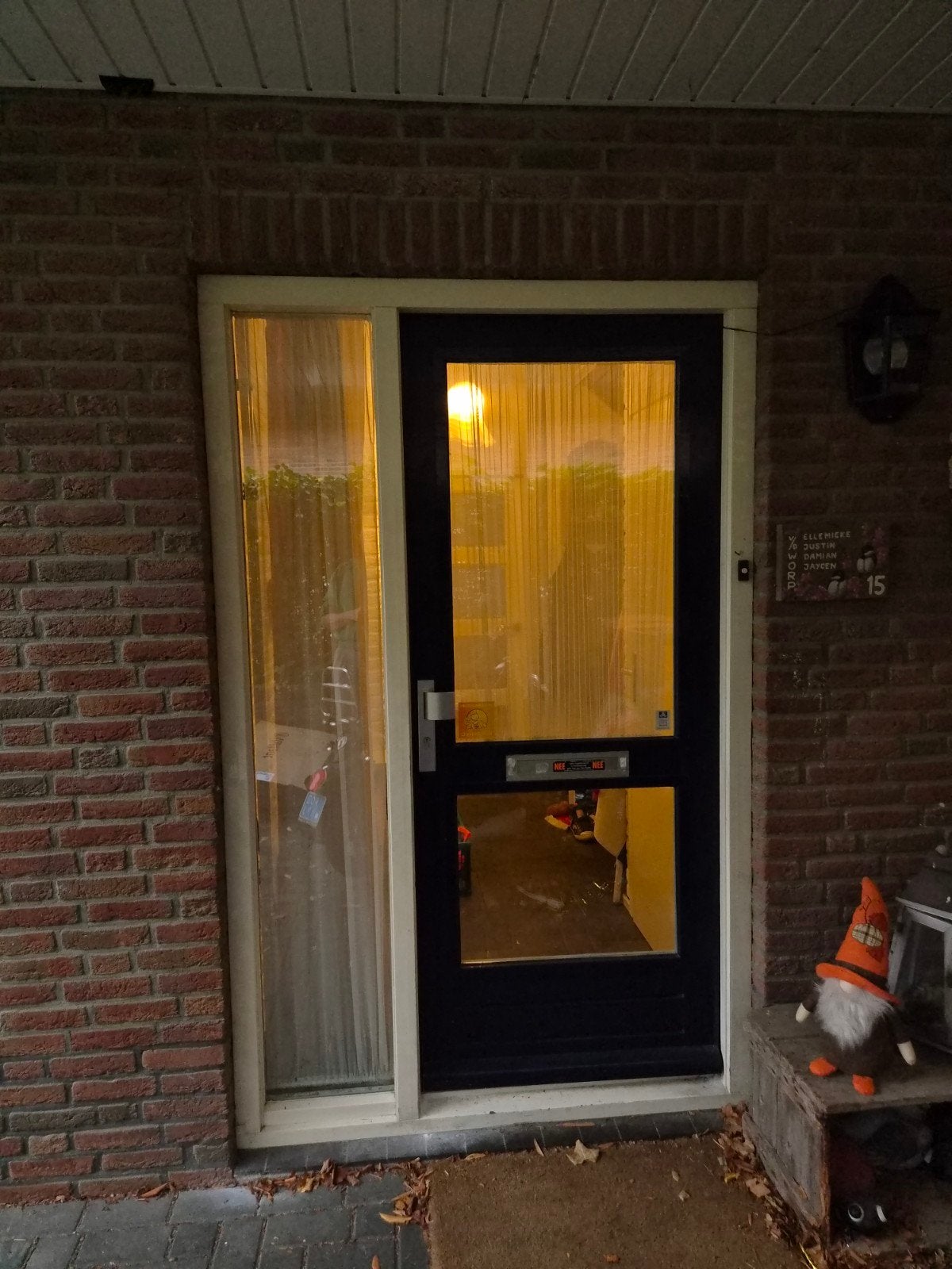 Hardhouten voordeur met glas, Gebruikt, 80 tot 100 cm, Ophalen of Verzenden, Buitendeur