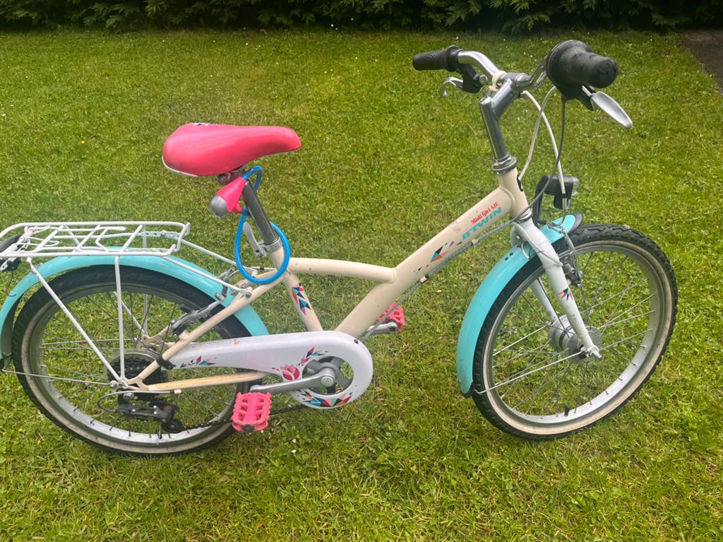 Fites 20 inch, Ophalen of Verzenden, Gebruikt, 20 inch, Versnellingen