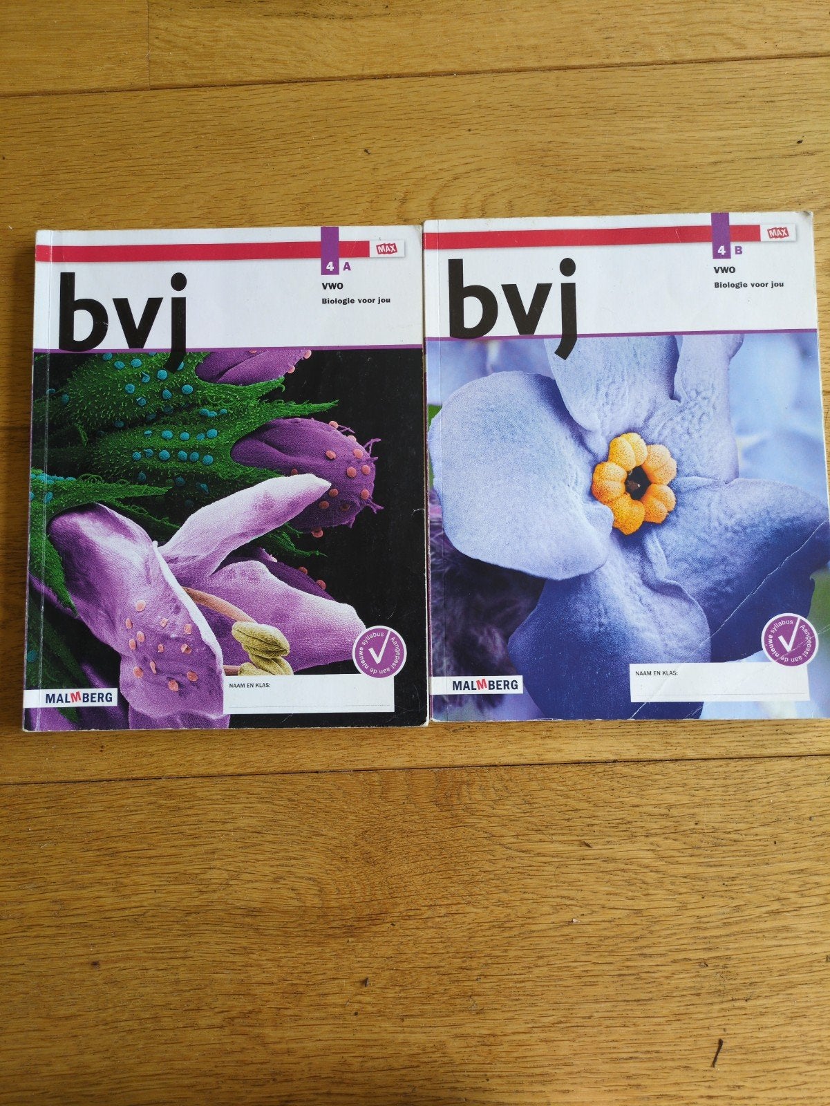 Biologie voor jou VWO 4A en 4B Malmberg, Boeken, Schoolboeken, Ophalen of Verzenden, Gelezen, VWO, Biologie