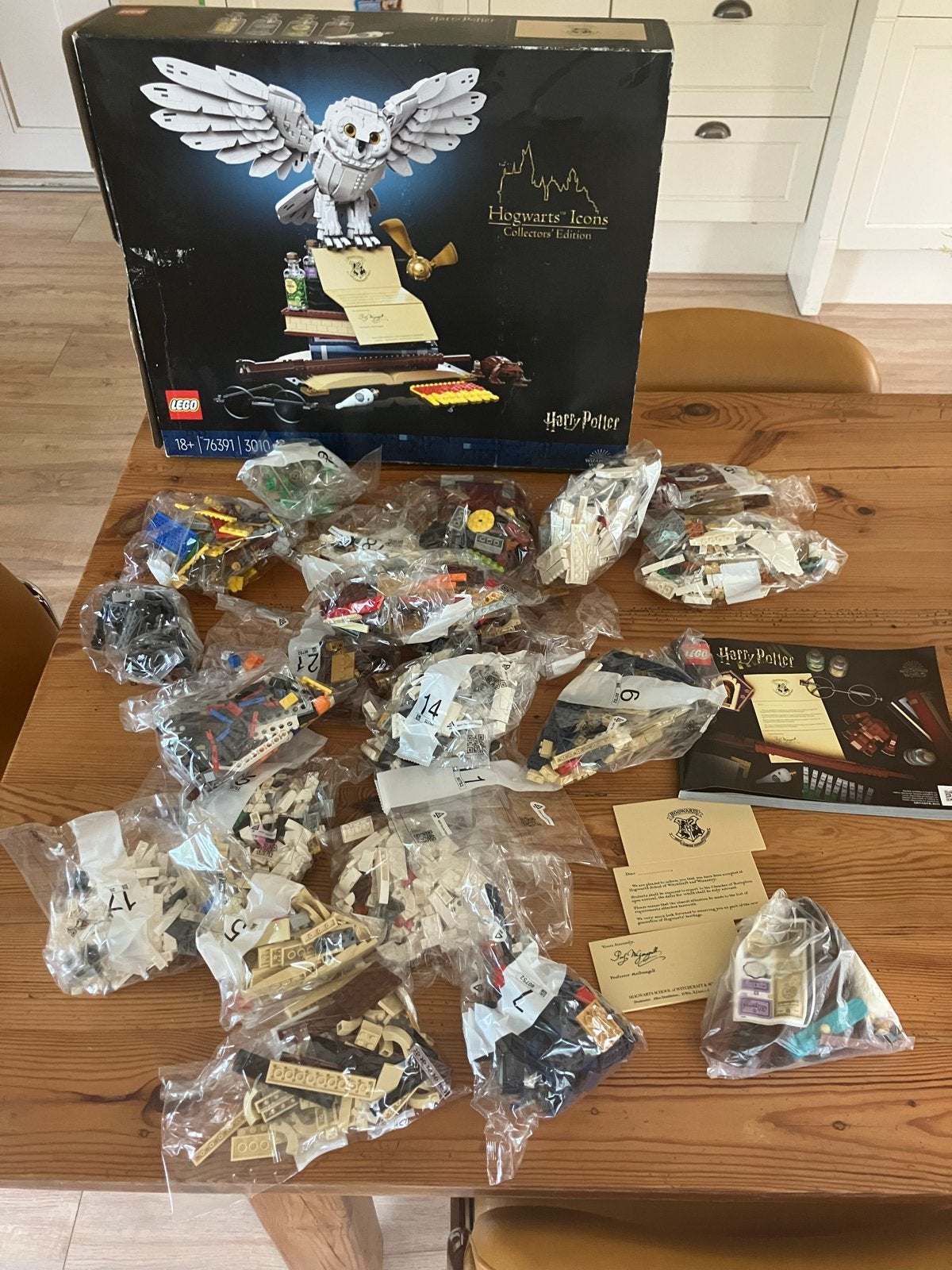 LEGO Harry Potter Collectors' Edition 76391, Ophalen of Verzenden, Zo goed als nieuw