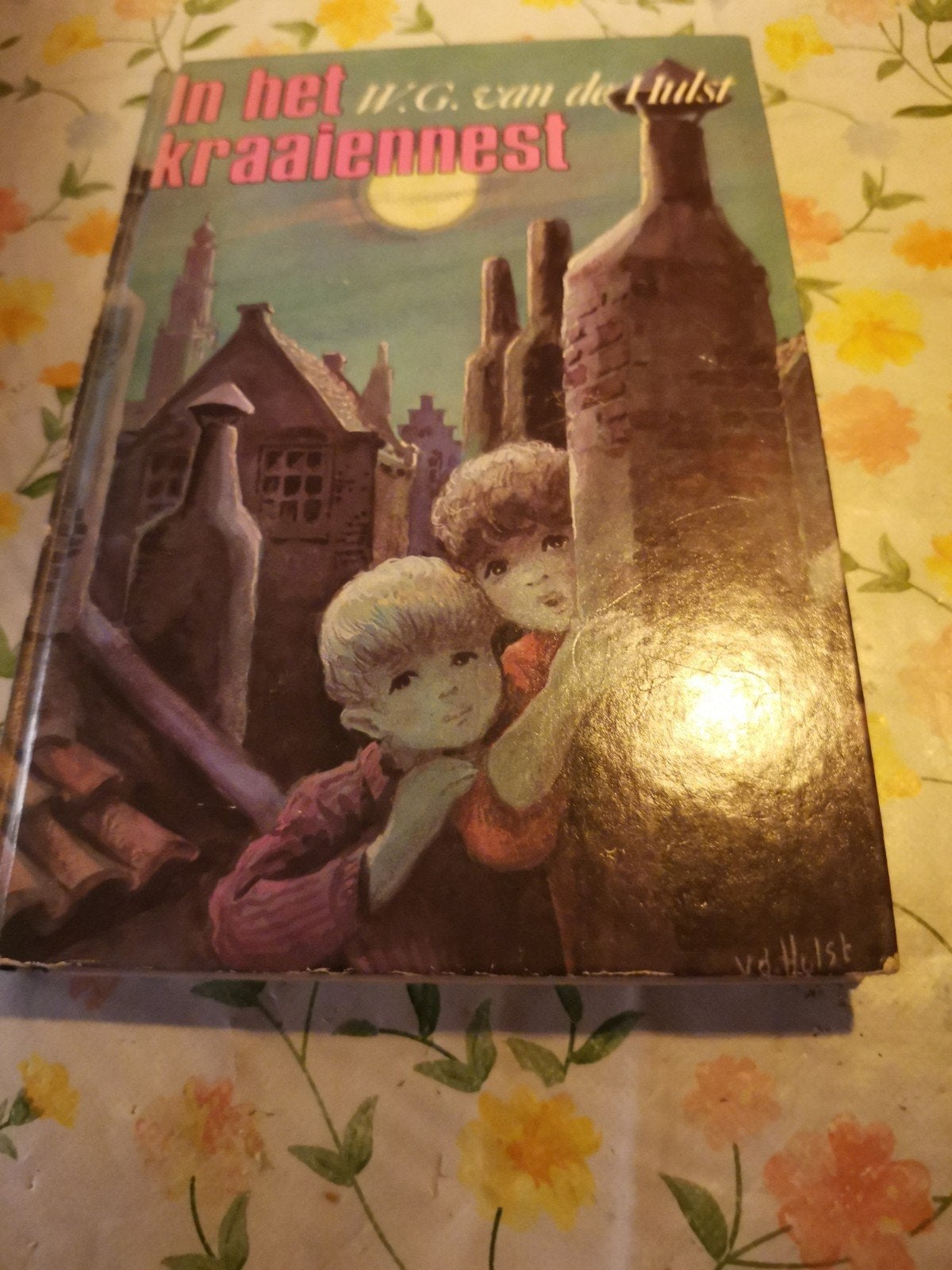 In het Kraaiennest - H.G. van de Hulst (Vintage Boek), Ophalen of Verzenden, Gelezen, H.G. van de Hulst, Fictie algemeen
