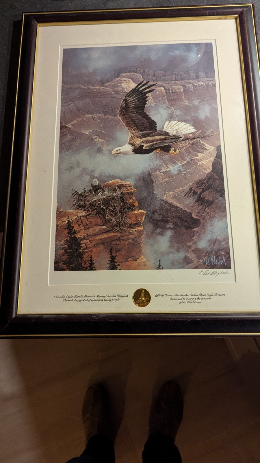 Ingelijste print 'Save the Eagle, Purple Mountain Majesty', Huis en Inrichting, Ophalen, Gebruikt, Oorspronkelijke maker, Print
