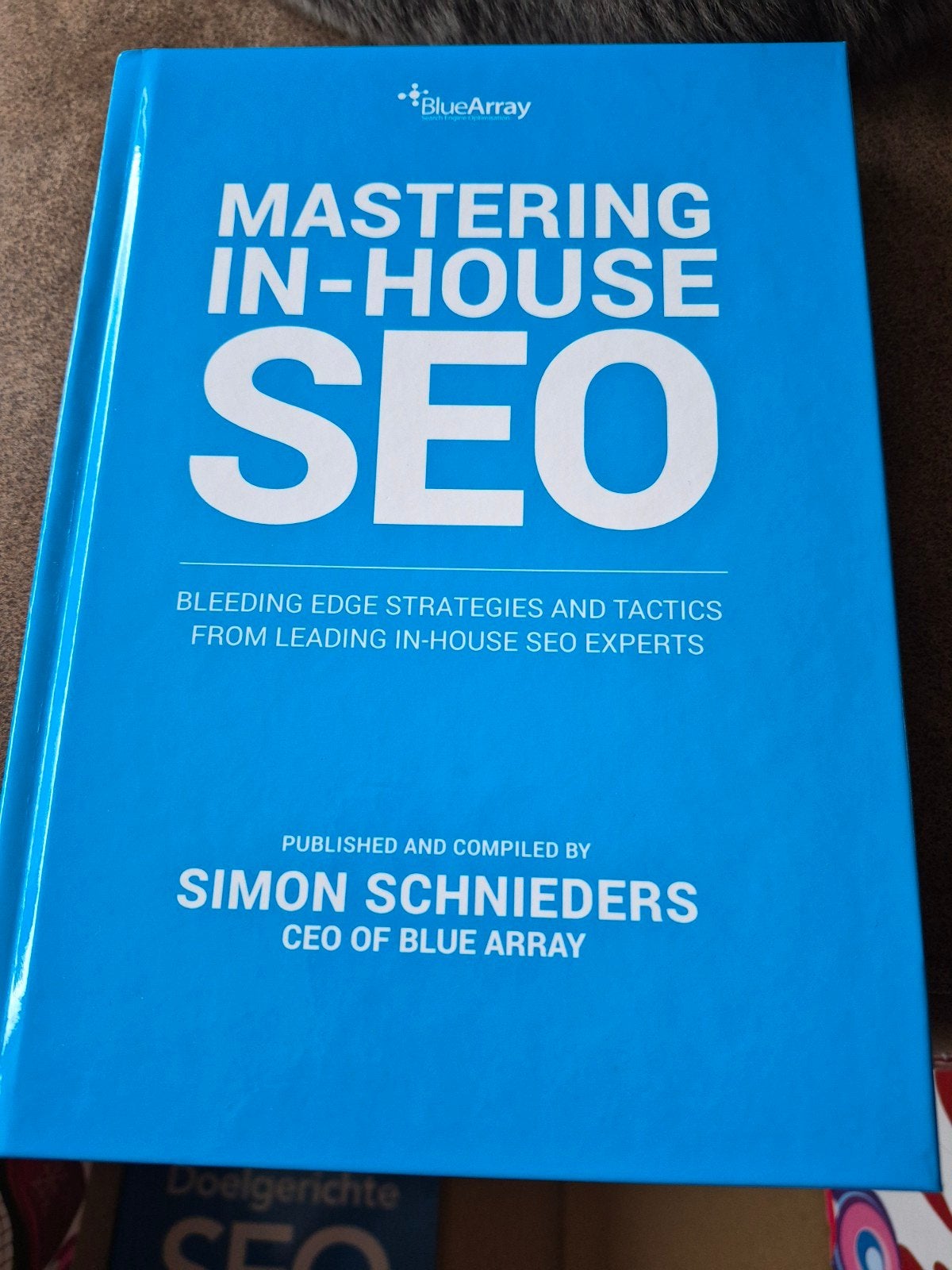 Mastering In-House SEO - Simon Schnieders, Zo goed als nieuw, Simon Schnieders, Gamma, HBO