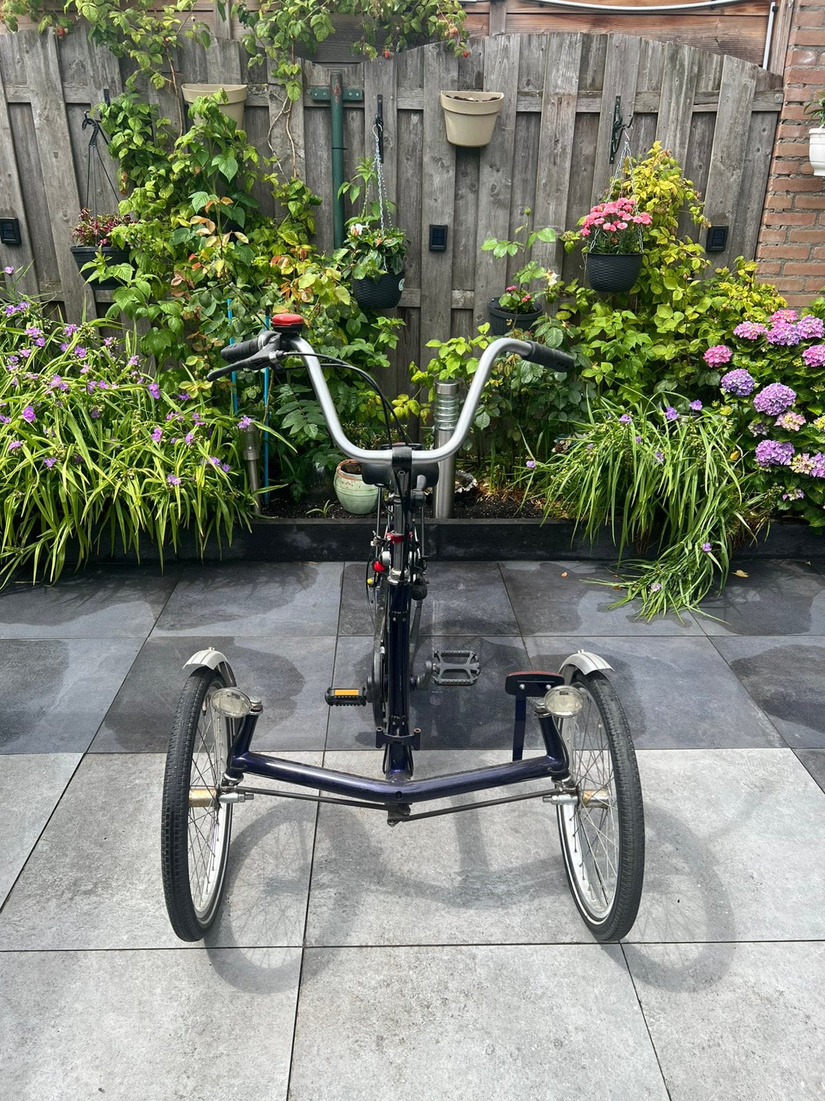 Trike driewielfiets, Ophalen of Verzenden