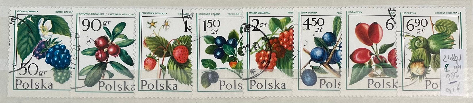 Kaveltje postzegels Polen; bosvruchten, Ophalen of Verzenden, Gestempeld, Dier of Natuur