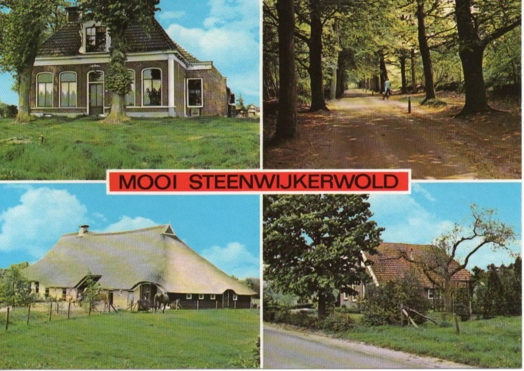 Ansichtkaart Steenwijkerwold, 4-luik, boerderij, bos, Ophalen of Verzenden, 1980 tot heden, Ongelopen, Overijssel