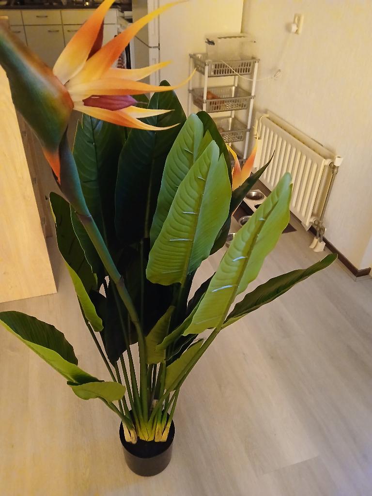 Kunstplant, Ophalen, Groen, Kunstplant, Nieuw