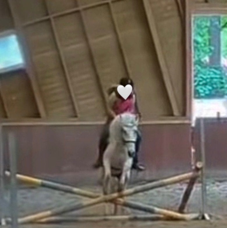 Verzorgpony gezocht/verzorgster aangeboden, Dieren en Toebehoren, Paarden en Pony's | Verzorgingsproducten, Ophalen of Verzenden