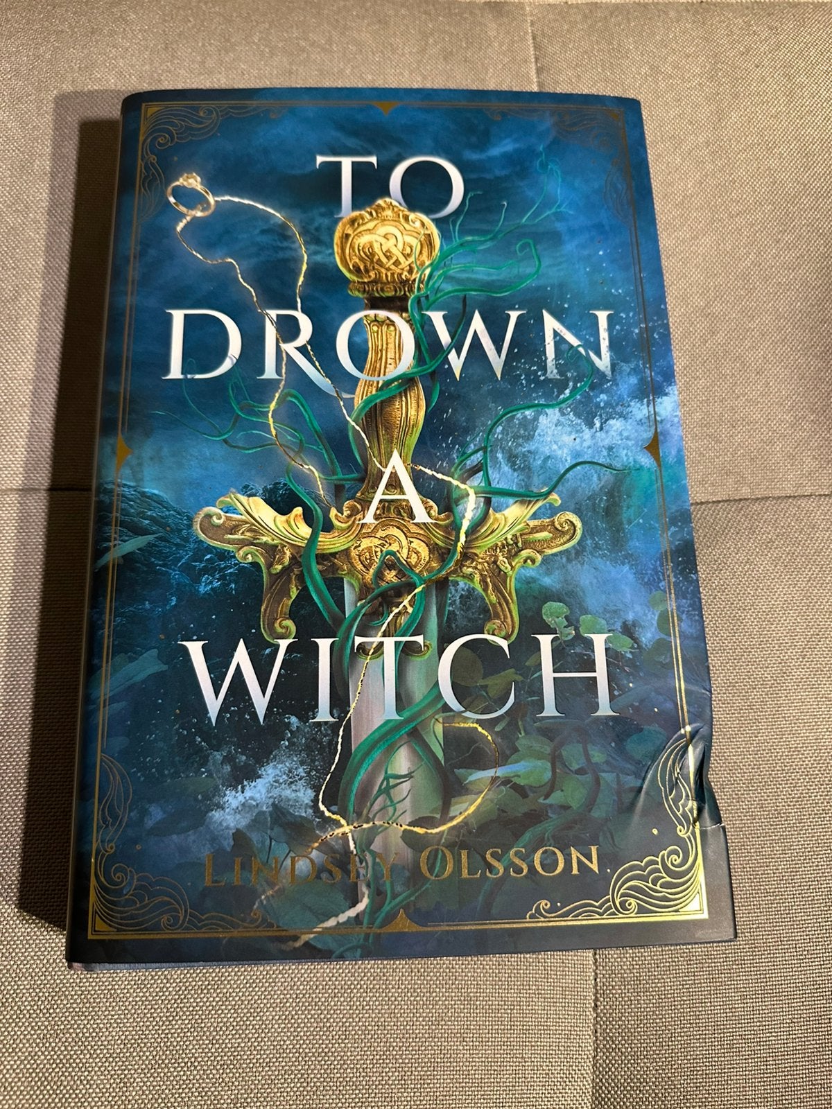 To Drown A Witch – Beschadigd – FairyLoot Augustus 2026 YA, Boeken, Ophalen of Verzenden, Nieuw