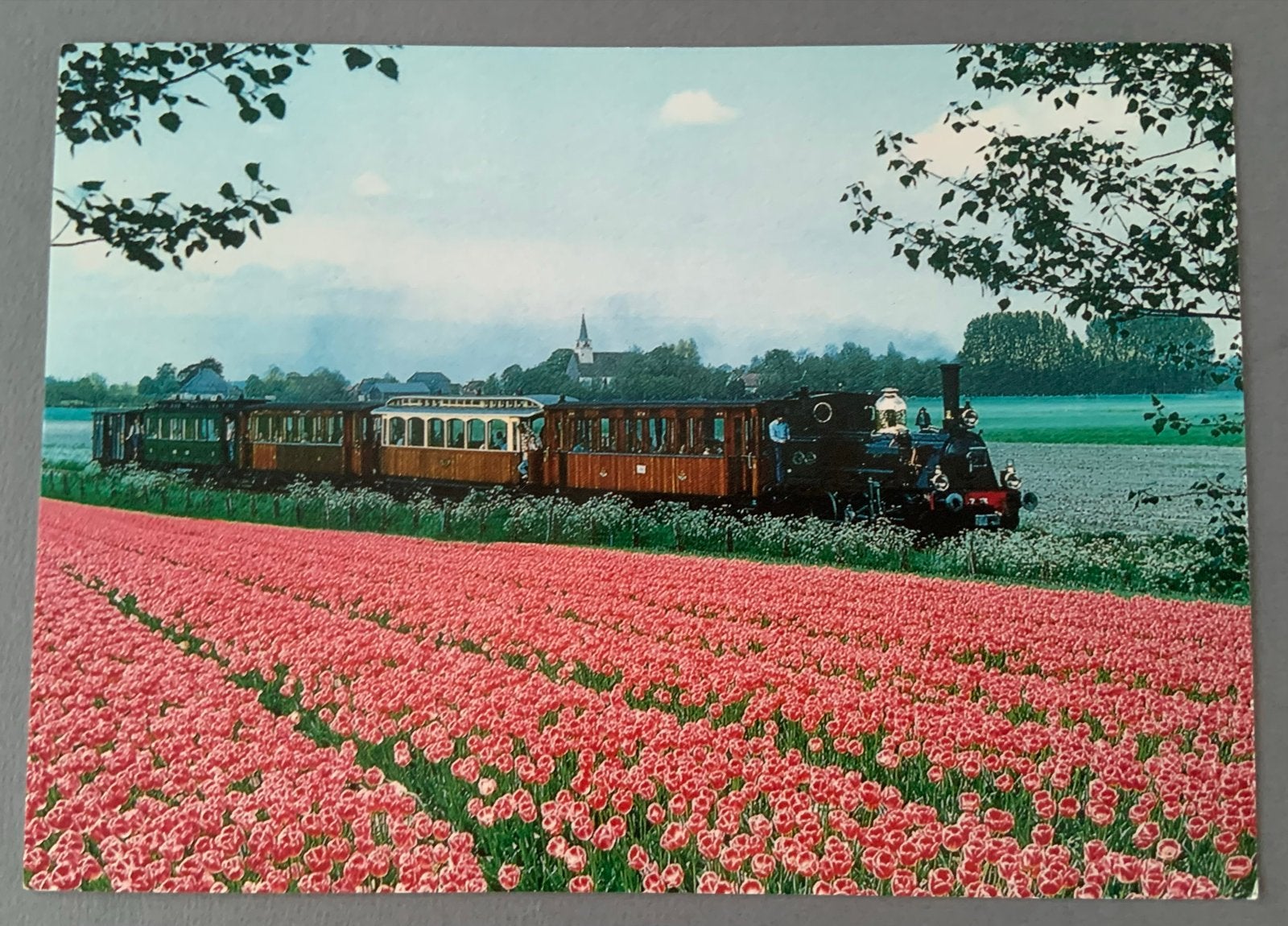 Stoomtram Bello in de tulpen - Museumstoomtram Hoorn, Verzenden, 1980 tot heden, Ongelopen, Voertuig