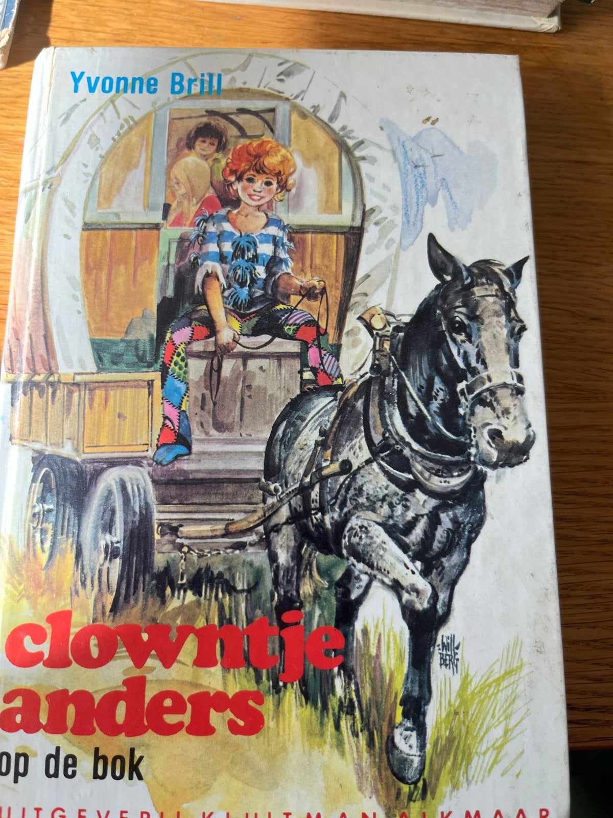 Clowntje Anders op de Bok - Yvonne Brill (Zonnebloemserie), Ophalen of Verzenden, Gelezen, Fictie algemeen