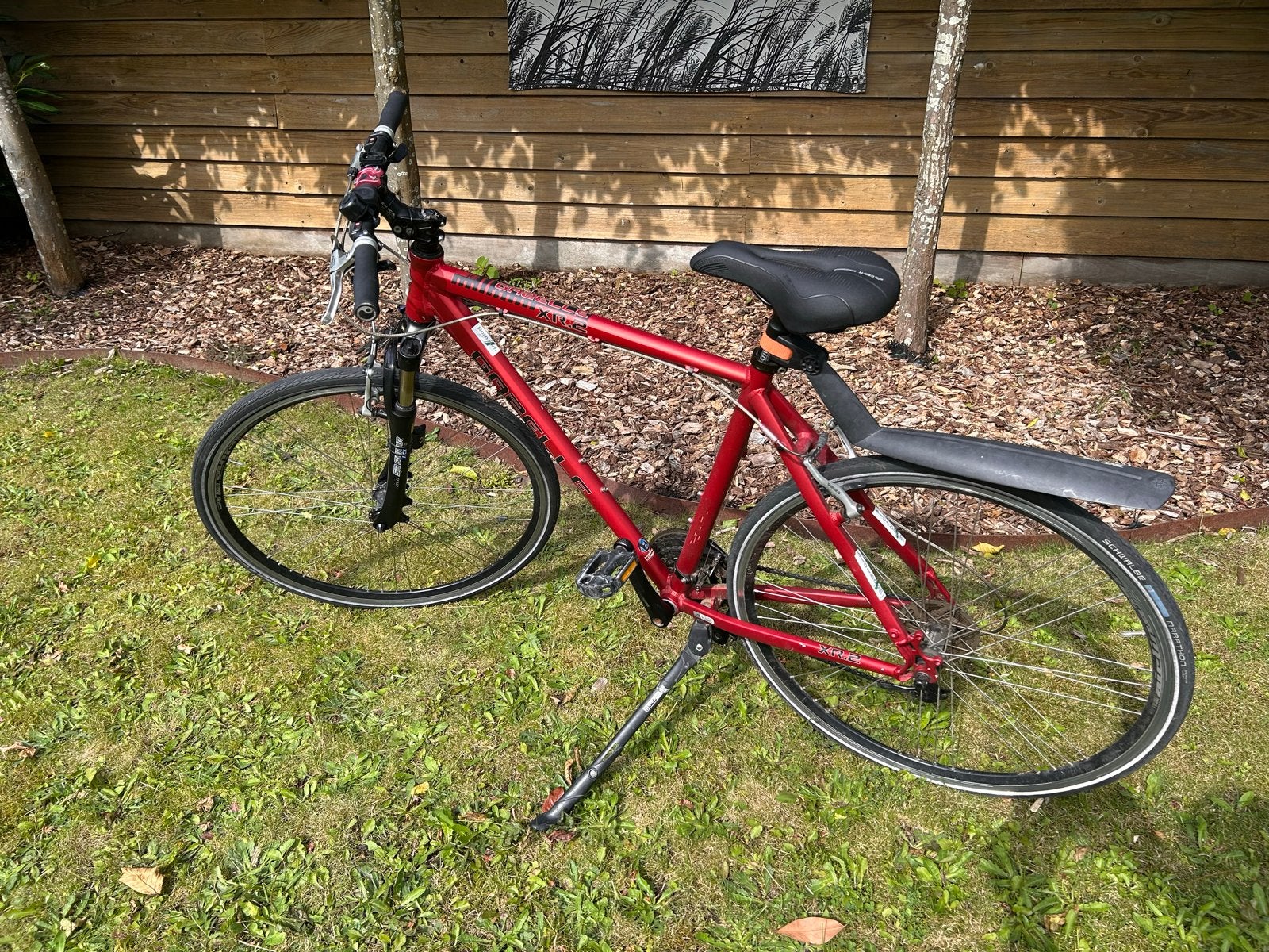 Gazelle XR2 , framemaat 54, Ophalen, Gebruikt, Gazelle