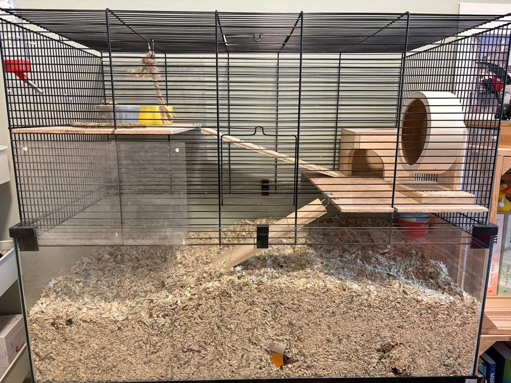 Prachtig nieuw hok voor knaagdieren, 110 cm of meer, Zo goed als nieuw, Hok, Ophalen