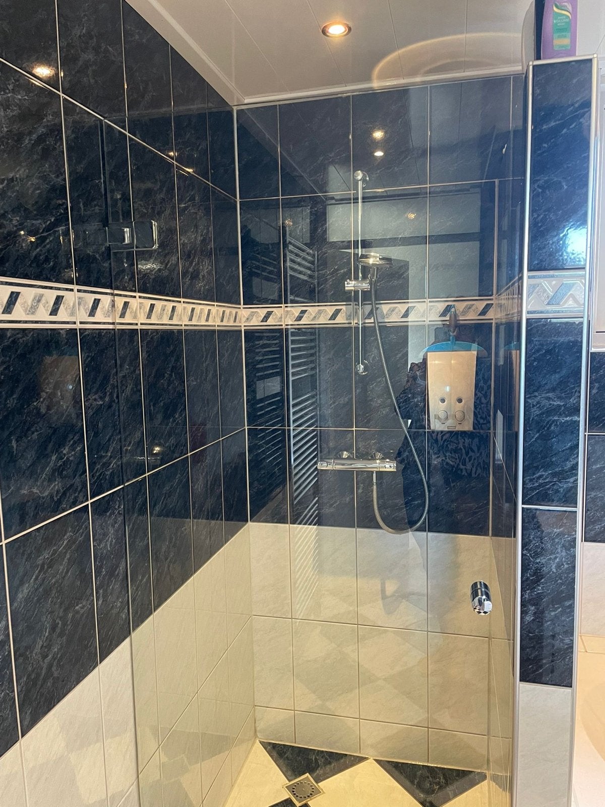 Glazen douchedeur 203x86,5 cm in goede staat, Ophalen of Verzenden, Gebruikt, Met douche