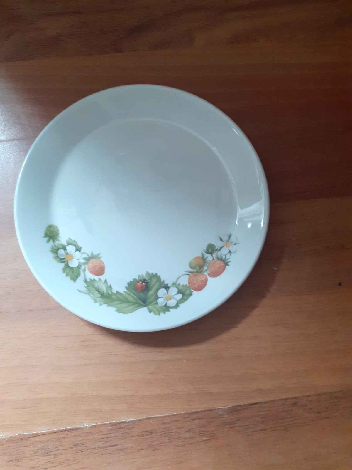 Marjolijn Bastin, gebaksbordjes, Ophalen of Verzenden, Zo goed als nieuw, Bord(en), Overige stijlen