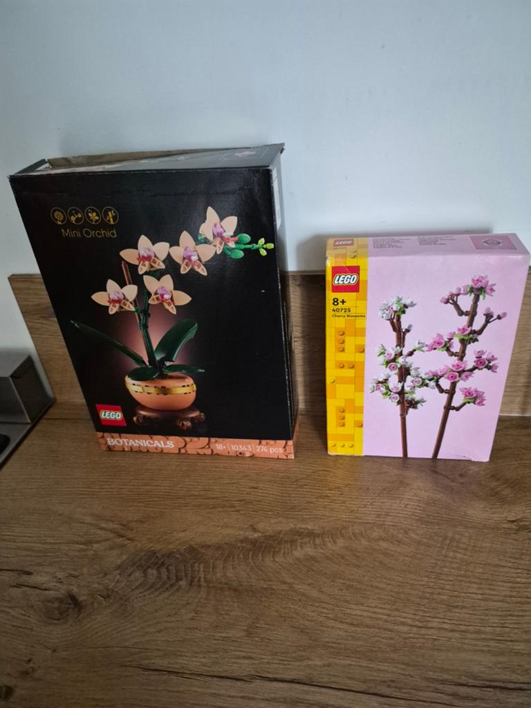 Lego Botanicals 10343 en 40725, Compleet, Overige thema's, Lego, Ophalen of Verzenden