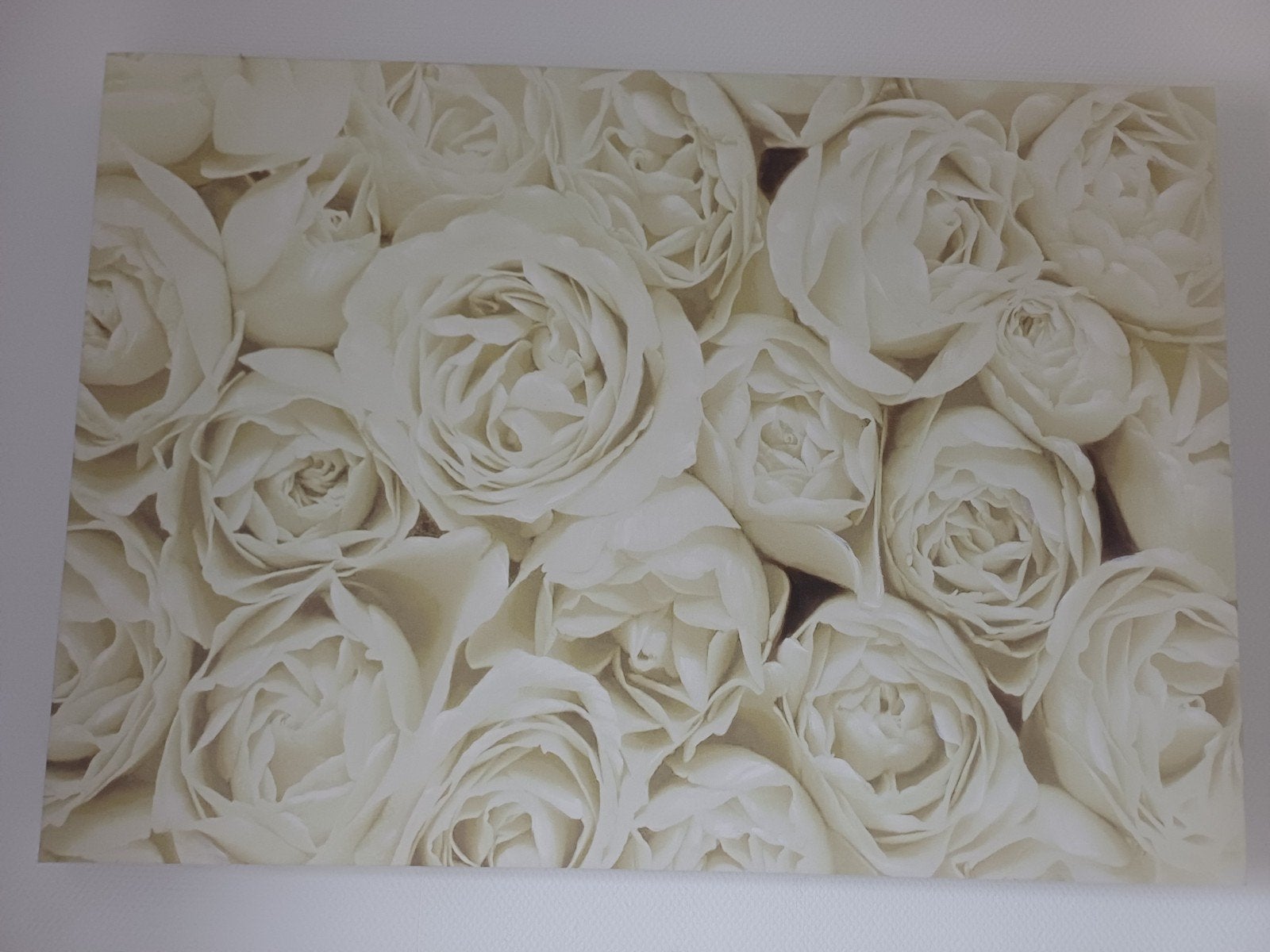 Schilderij met witte rozen, Ophalen, 50 – 75, Zo goed als nieuw, Schilderij