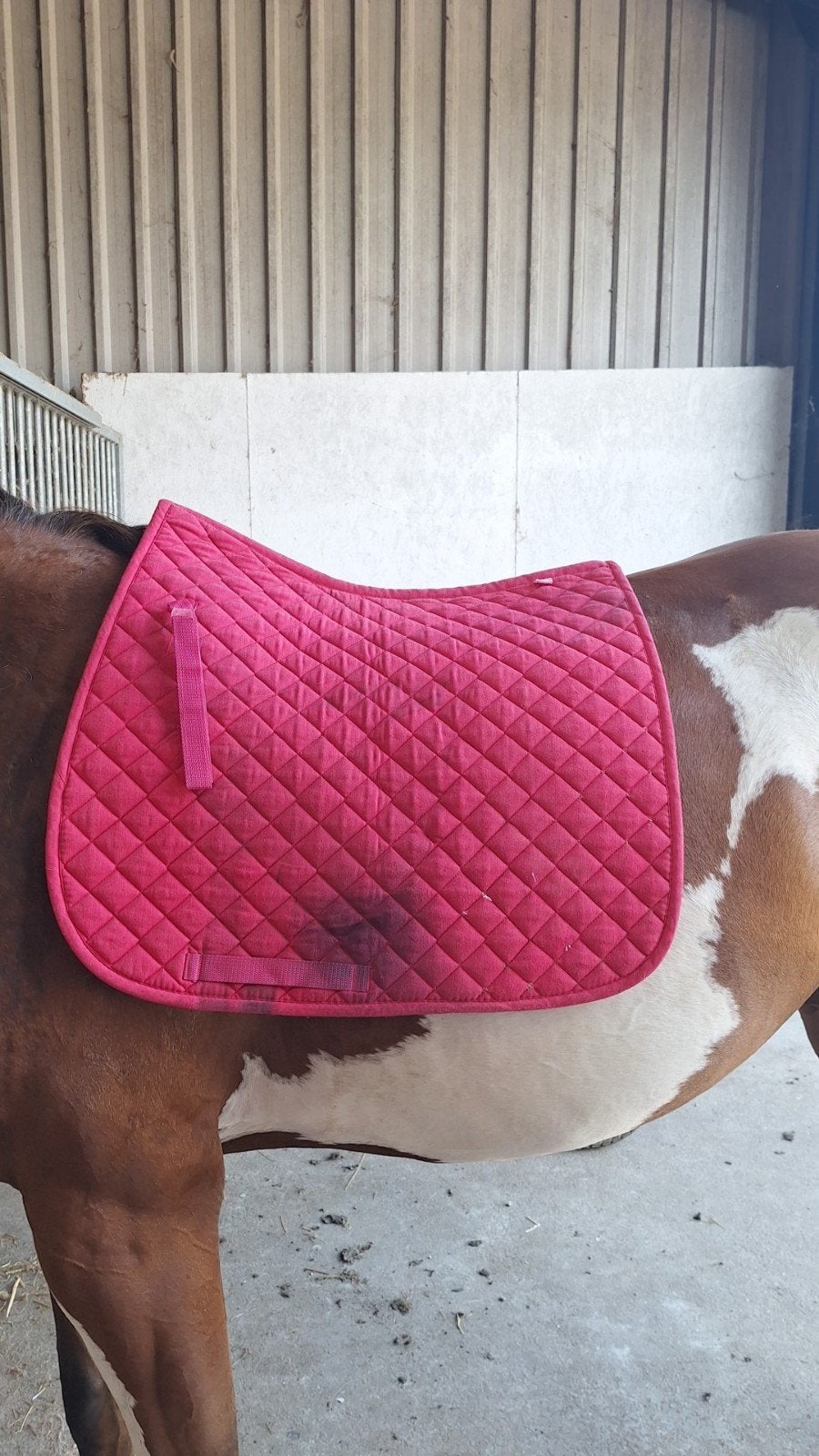 Dekje maat full dressuur, Dieren en Toebehoren, Ophalen of Verzenden