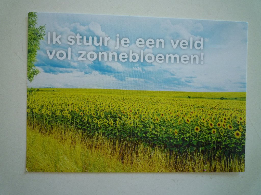 Zonnebloemen bloemen tekst, Verzenden, Voor 1920, Overige thema's