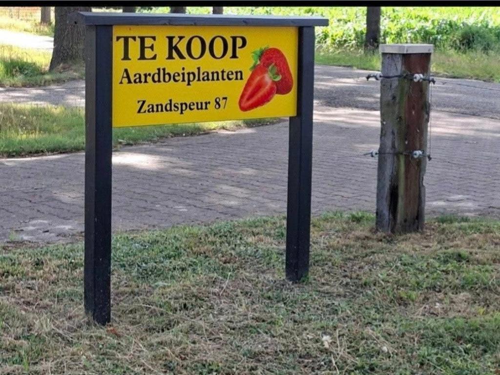 Te koop verschillende soorten Aardbeiplanten, Ophalen of Verzenden, Minder dan 100 cm, Overige soorten, Lente