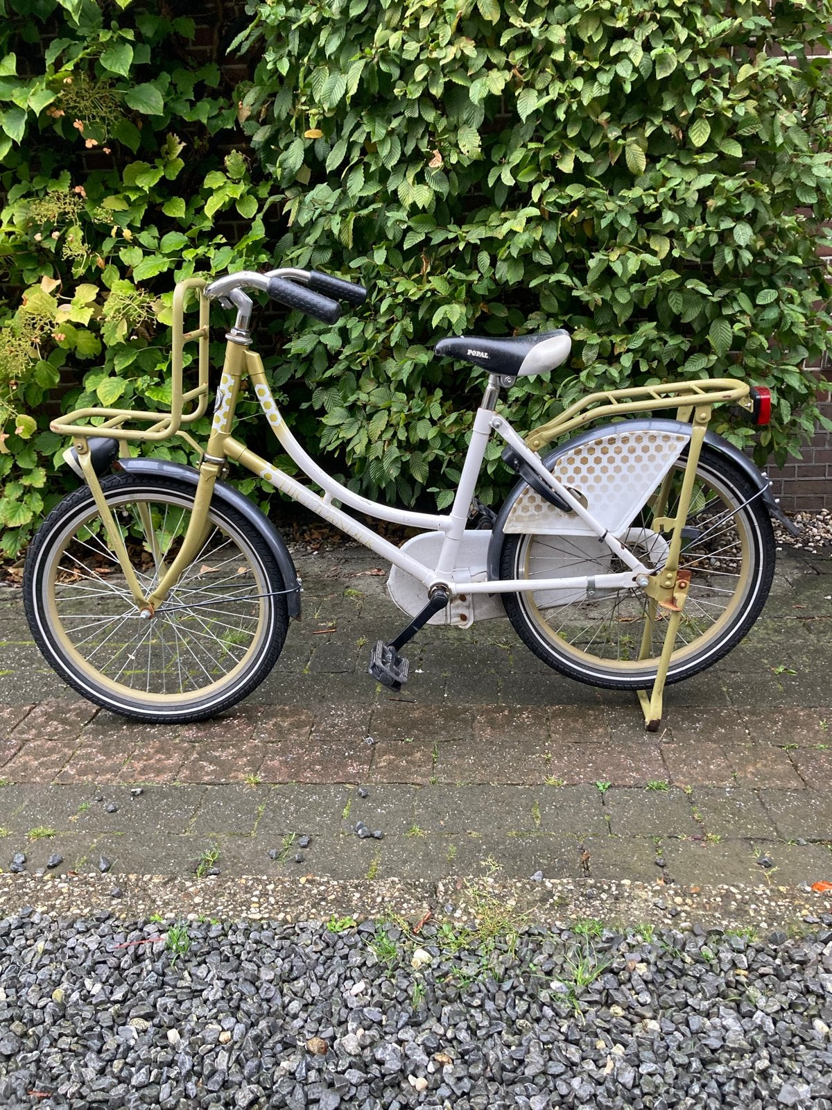 20 inch kinderfiets met voordrager, Fietsen en Brommers, Ophalen, Gebruikt, Terugtraprem, 16 tot 20 inch