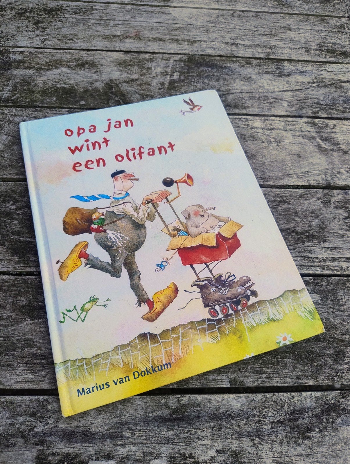 Opa Jan wint een olifant - Marius van Dokkum, Ophalen of Verzenden, Gelezen, Fictie algemeen