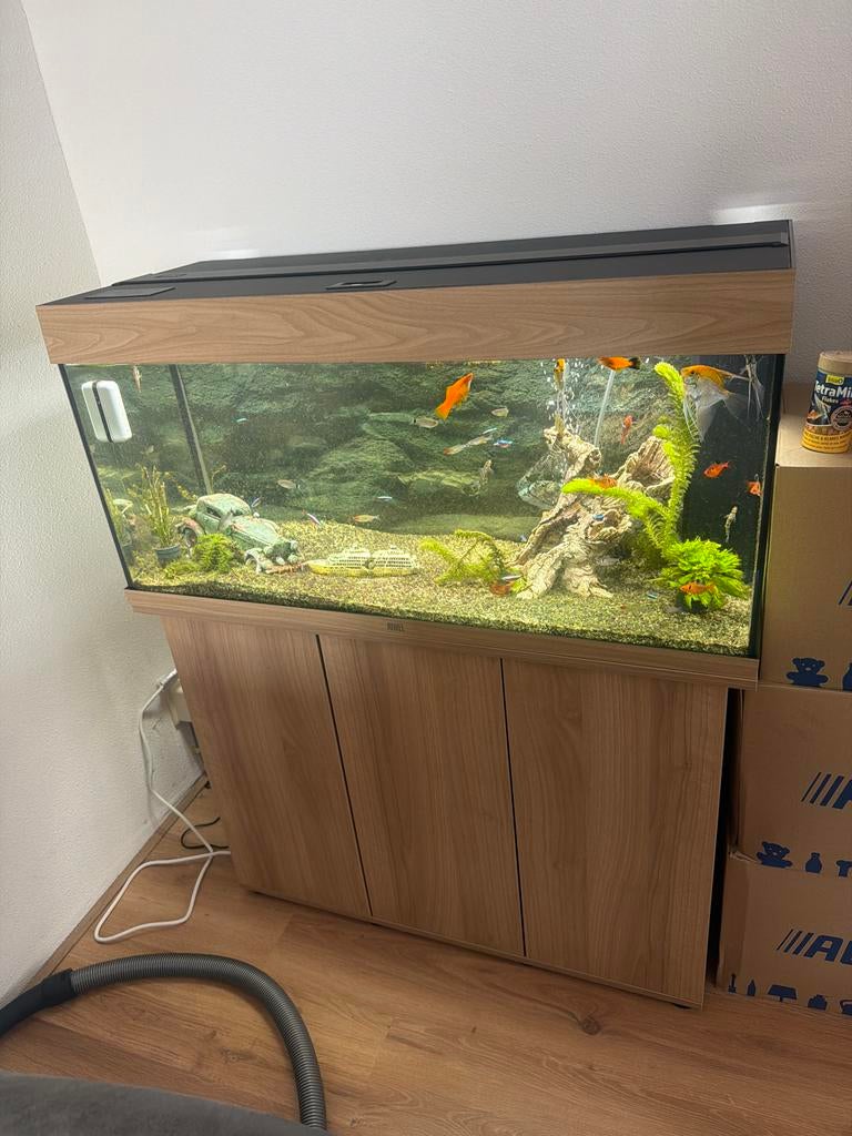 Mooi nieuw aquarium, Dieren en Toebehoren, Vissen | Aquaria en Toebehoren, Ophalen of Verzenden, Nieuw, Plant(en), Steen of Hout