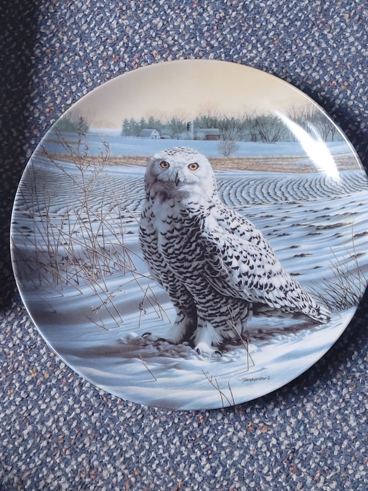 The Snowy Owl - Knowles verzamelbord met certificaat, Ophalen of Verzenden, Zo goed als nieuw, Porselein, Bord of Schaal