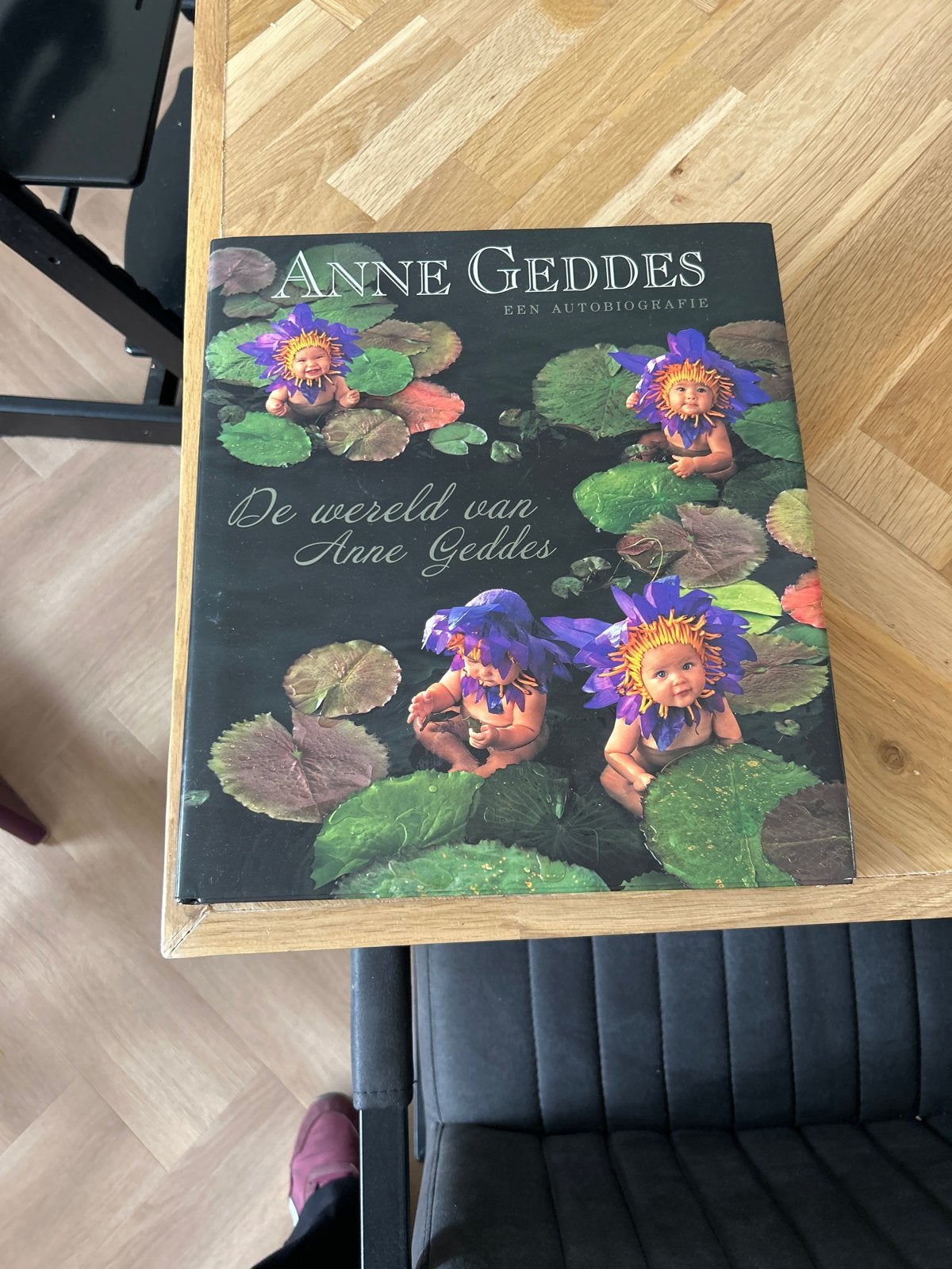 De wereld van Anne Geddes - Een autobiografie, Ophalen of Verzenden, Zo goed als nieuw, Kunst en Cultuur