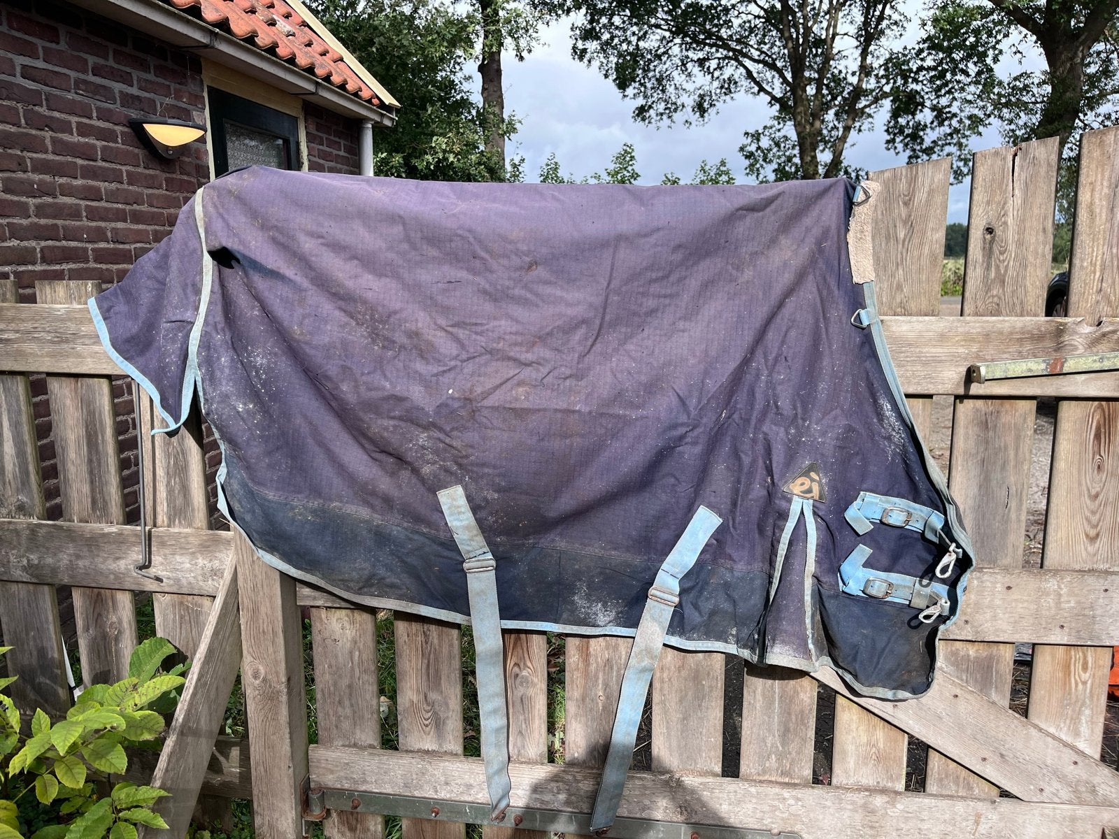 Epplejeck regendeken 0 grams pony 155, Dieren en Toebehoren, Ophalen of Verzenden