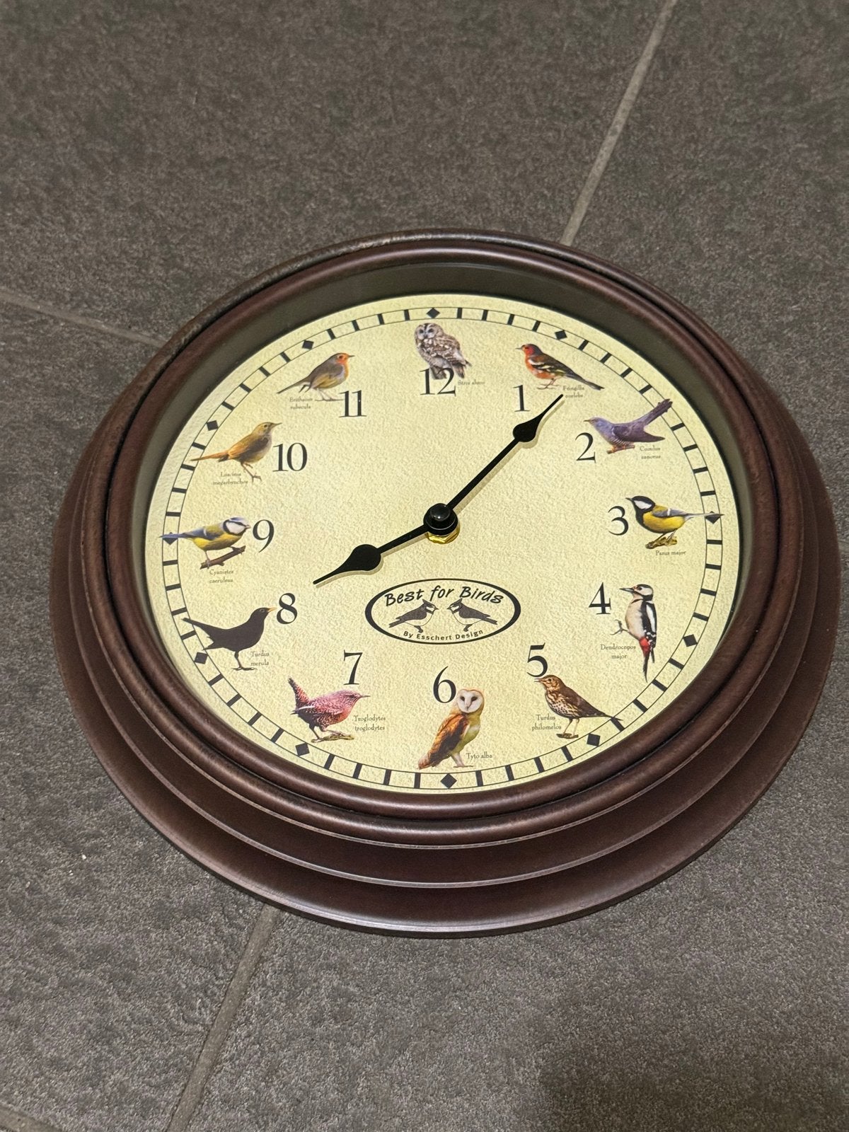 Wandklok met vogelgeluiden - Best for Birds, Bruin, Landelijk, Ophalen of Verzenden, Overige merken