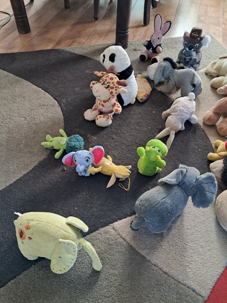 Aangeboden diverse knuffels, Ophalen, Gebruikt, Overige typen