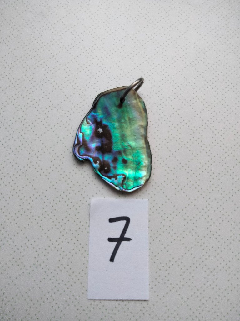 Prachtige Abalone Schelp Hanger - Uniek en Kleurrijk, Ophalen, Overige materialen, Nieuw, Overige kleuren