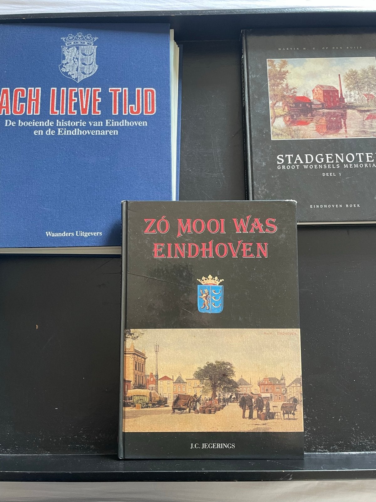 Boeken over de geschiedenis van Eindhoven, Ophalen of Verzenden, 20e eeuw of later, Gelezen