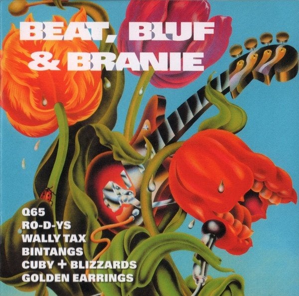 Beat, bluf & branie - NEDERBEAT, Ophalen of Verzenden, Zo goed als nieuw, Pop