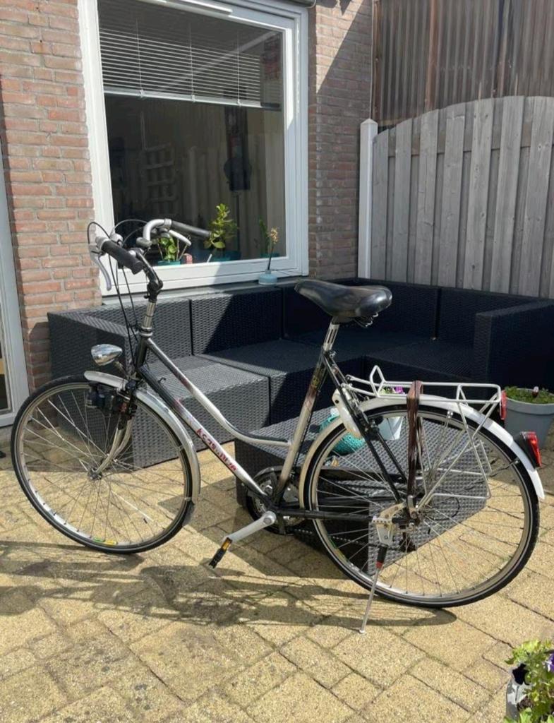 Snelle dames fiets - Koga Miyata groot frame, Gebruikt, Versnellingen, 57 tot 61 cm, Ophalen