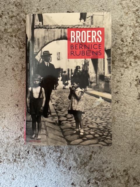 Boek roman Broers van Bernice Rubens, Europa overig, Ophalen of Verzenden, Zo goed als nieuw, Bernice Rubens