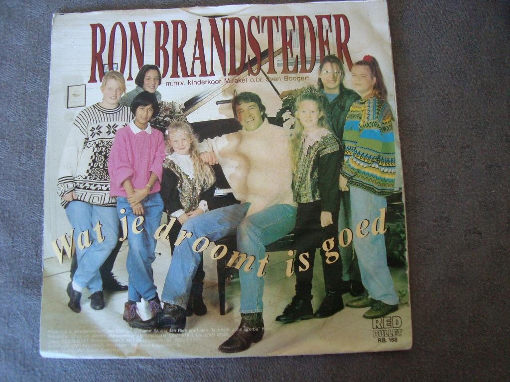 Ron brandsteder - wat je droomt is goed, Ophalen of Verzenden, Zo goed als nieuw, Nederlandstalig, Single