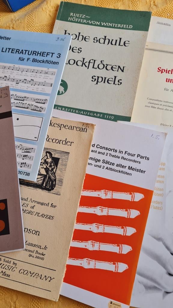 Bladmuziek blokfluit, ook alt - 7 boeken, Ophalen of Verzenden, Gebruikt, Les of Cursus, Blokfluit