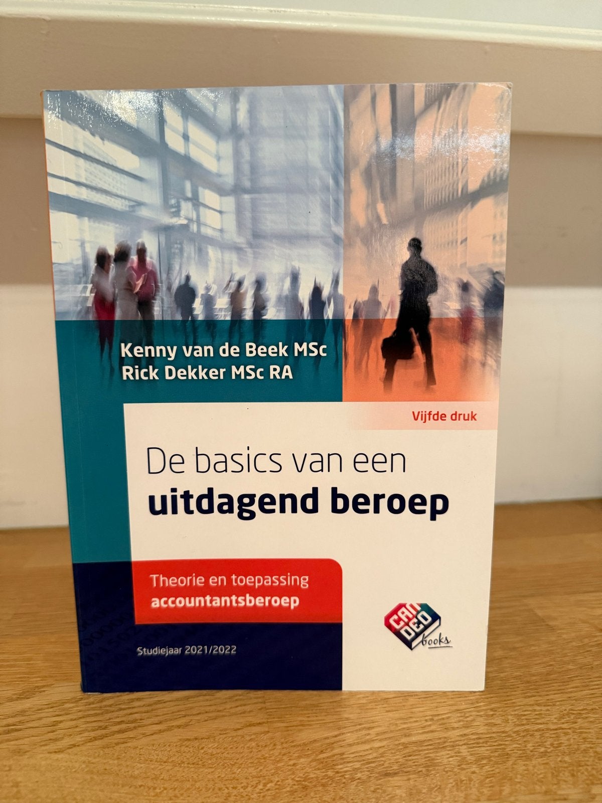 De basics van een uitdagend beroep - Accountantsberoep, Ophalen of Verzenden, Gamma, Zo goed als nieuw, HBO