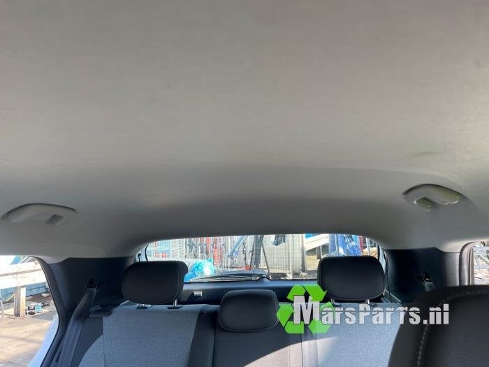 Hemelbekleding van een Hyundai I20, Auto-onderdelen, Gebruikt, -, -, Ophalen of Verzenden