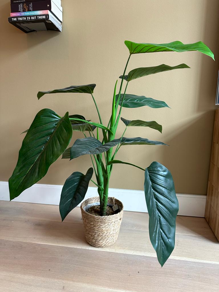 Kunstplant Alocasia 90 cm hoog met mand, Ophalen, Binnen, Groen, Kunstplant