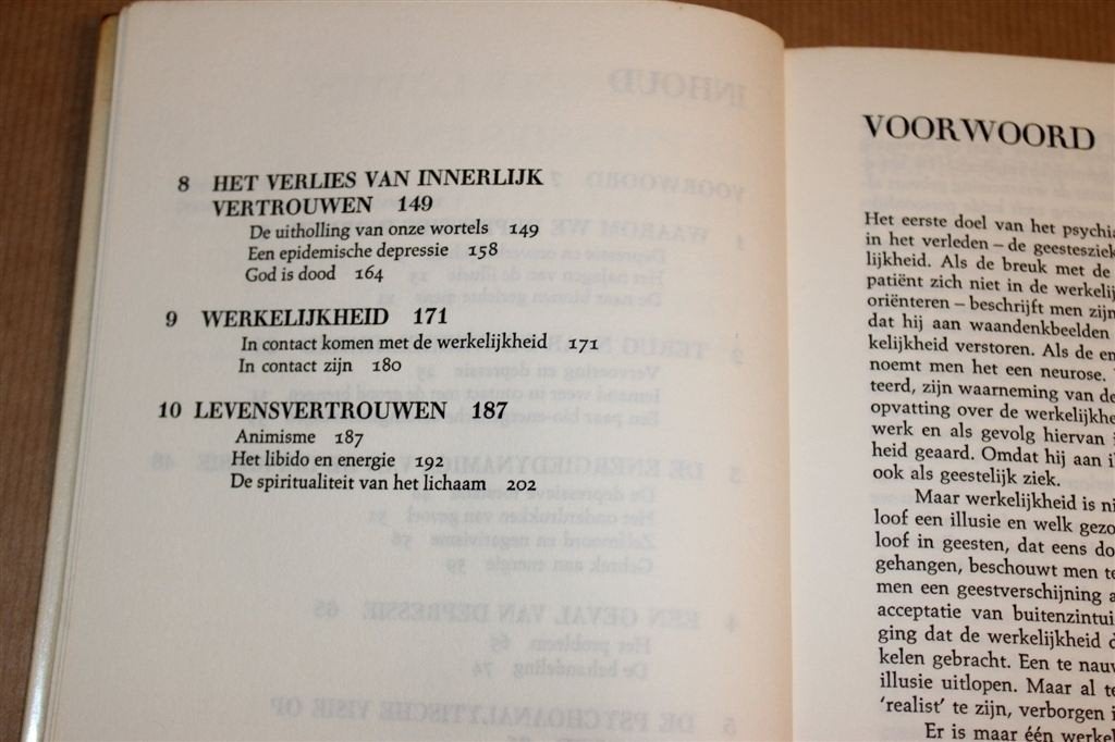 Depressies en het Lichaam — De Lichamelijke Grondslag [1975], Ophalen of Verzenden, Gelezen, Overige onderwerpen, Achtergrond en Informatie
