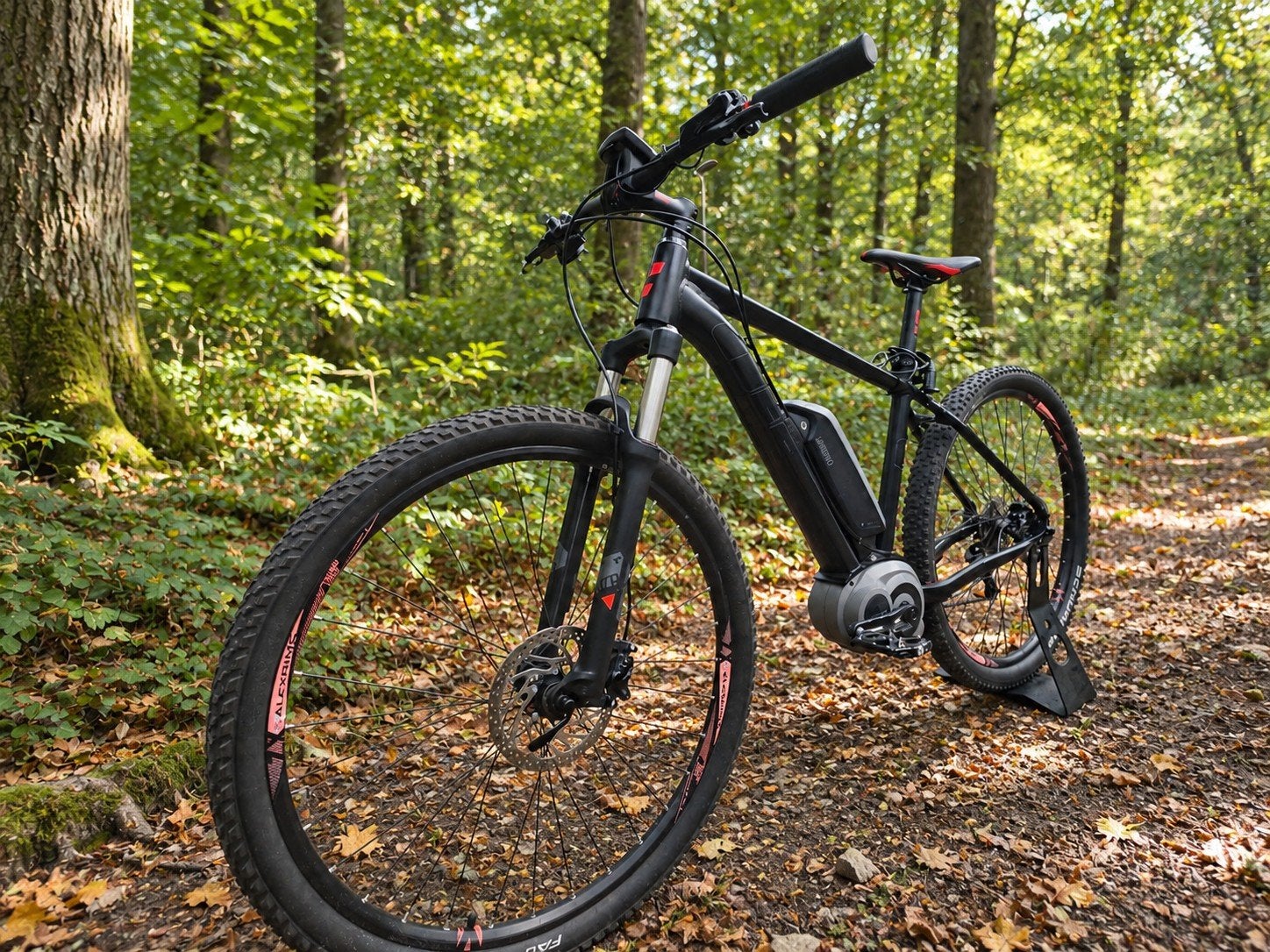 Zeer nette Cube Reaction Hybrid E Mountainbike 10 versn shim