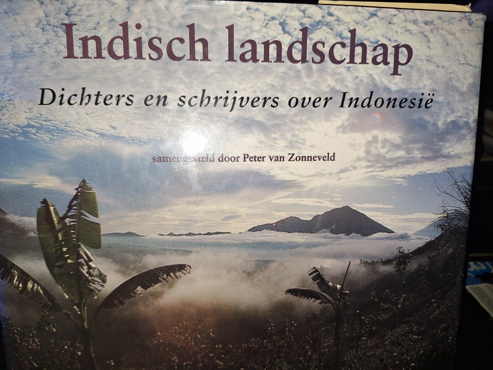 Indisch Landschap, Ophalen of Verzenden, Zo goed als nieuw, Natuur algemeen