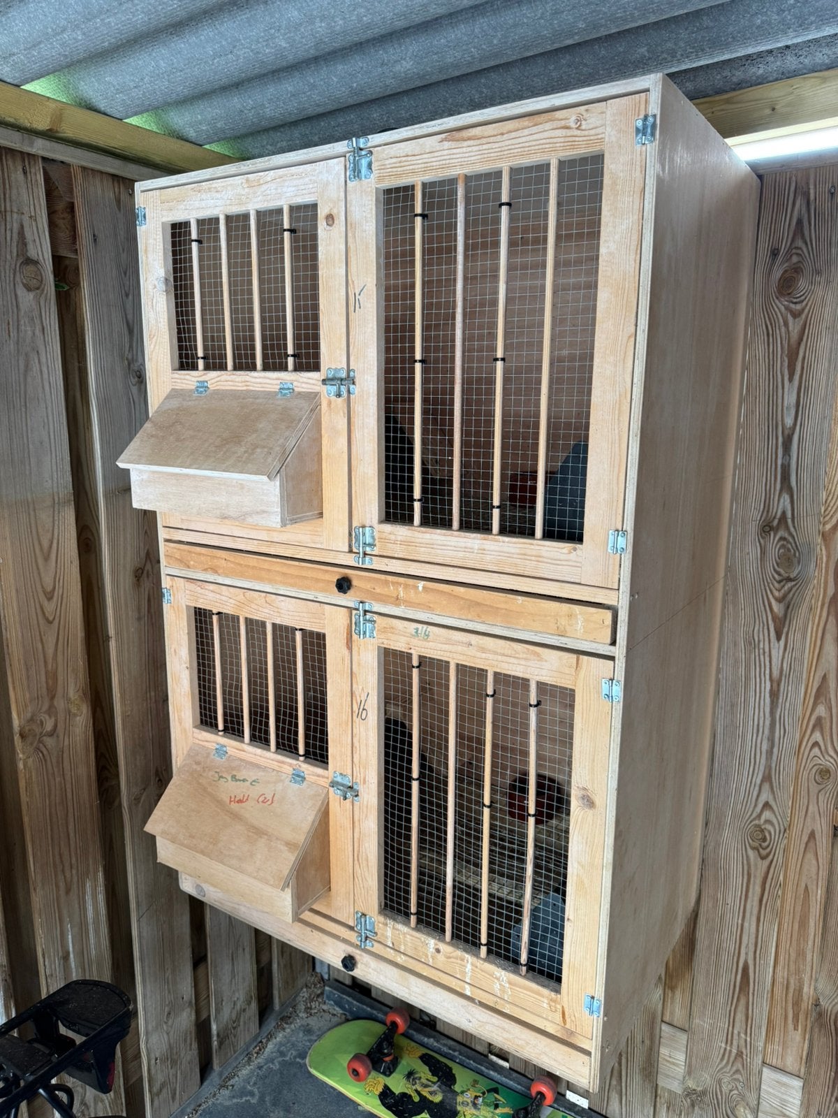Kweekbox/ postduiven, Dieren en Toebehoren, Meerdere dieren, Postduif