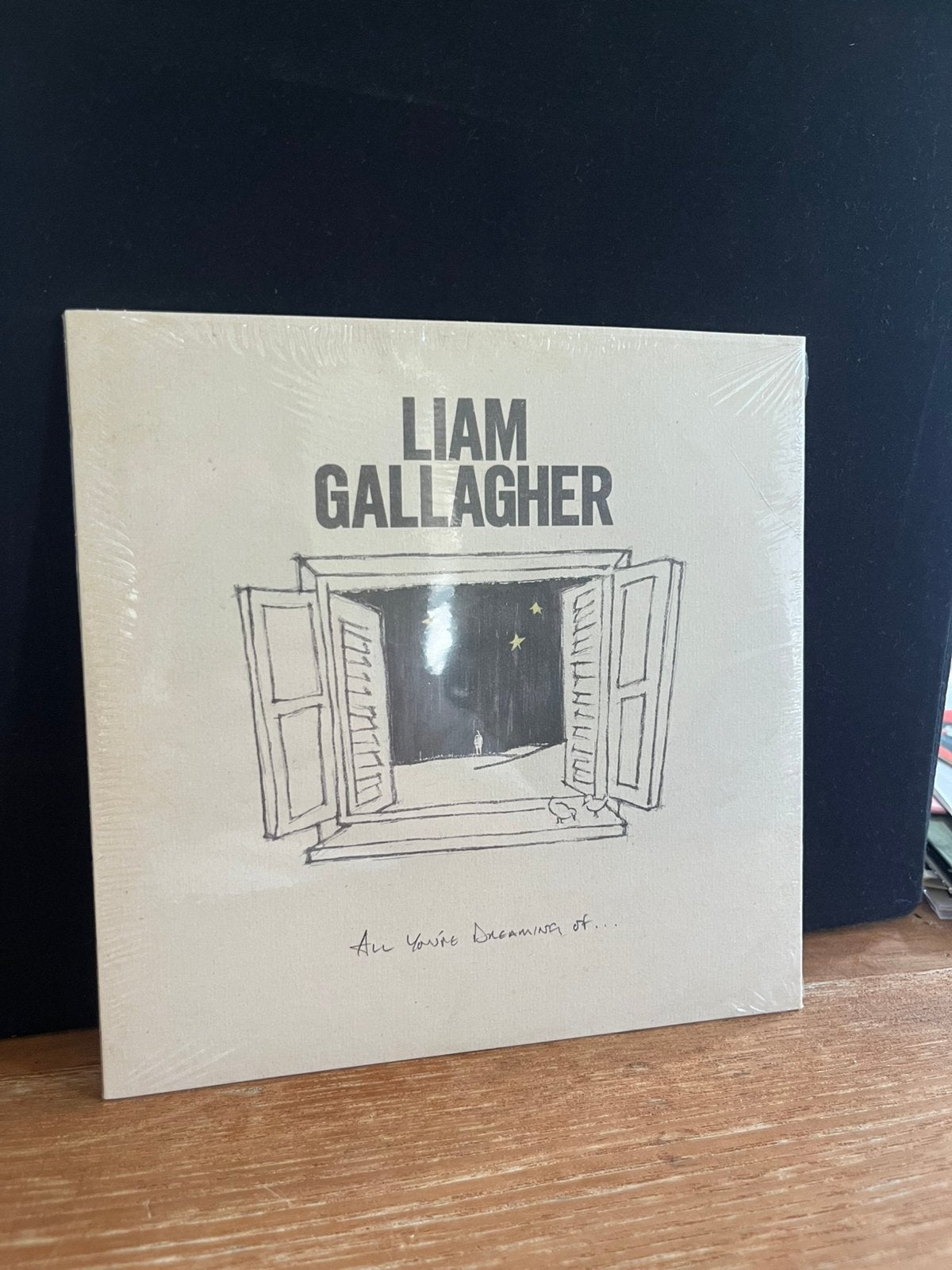 Liam Gallagher - All you’re dreaming of (vinyl single), Ophalen of Verzenden, Gebruikt, Pop